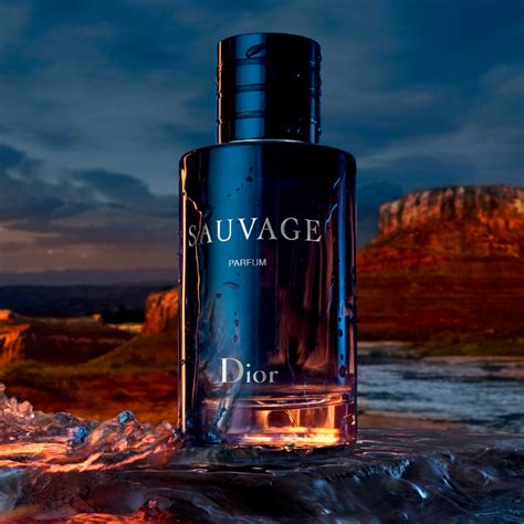 dior sauvage for summer|cheapest price for sauvage aftershave.